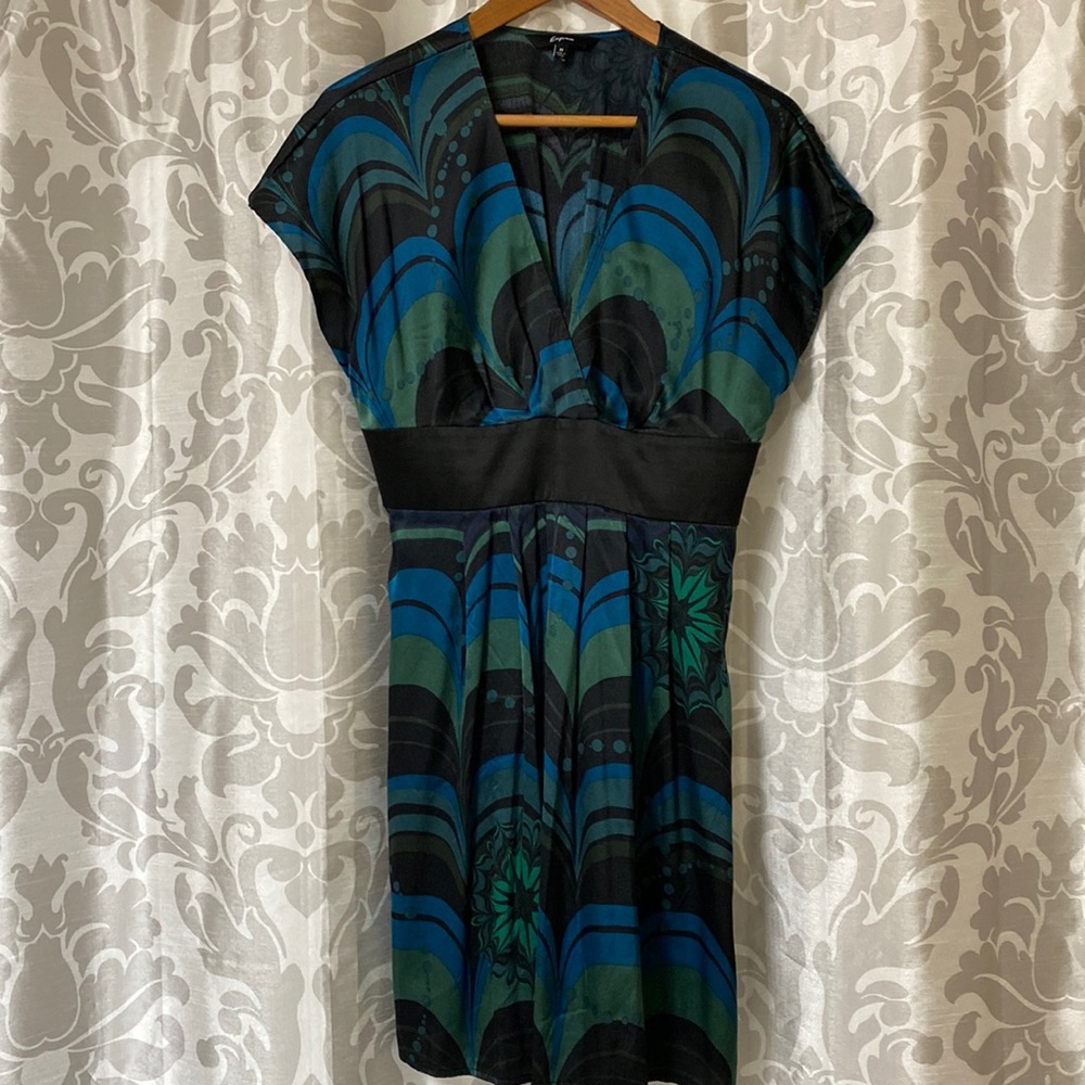 Vintage Express Silk dress